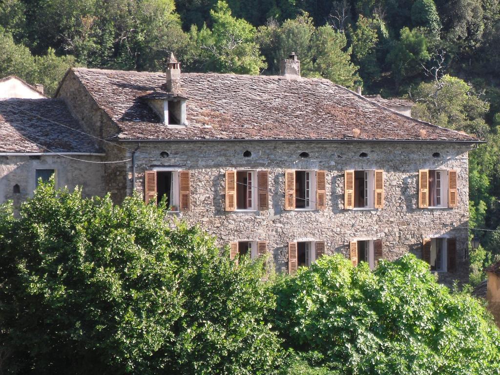 Chambre D'Hotes La Marlotte Castello-di-Rostino Exteriér fotografie