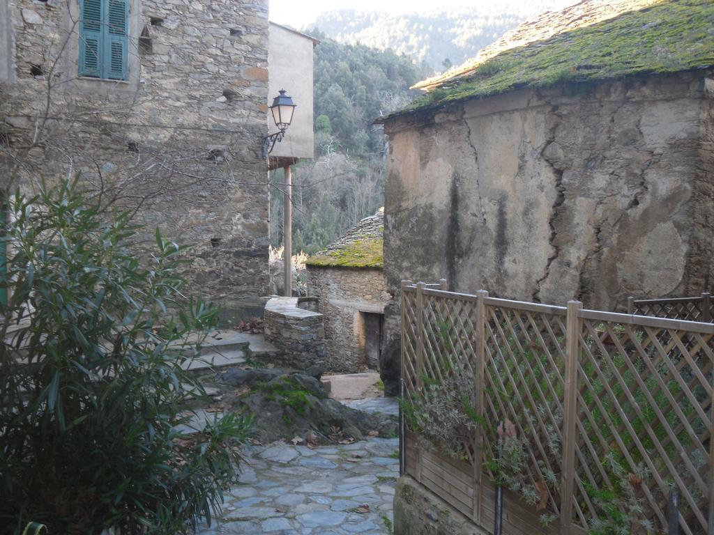 Chambre D'Hotes La Marlotte Castello-di-Rostino Exteriér fotografie