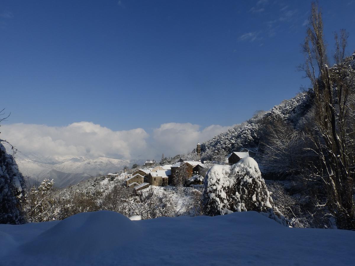 Chambre D'Hotes La Marlotte Castello-di-Rostino Exteriér fotografie